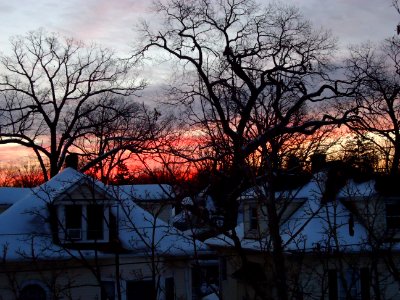 Summit New Jersey sunrise in winter with trees and snow covered houses photo