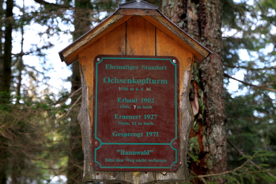 Summit of Hoher Ochsenkopf 2020-03-15 06