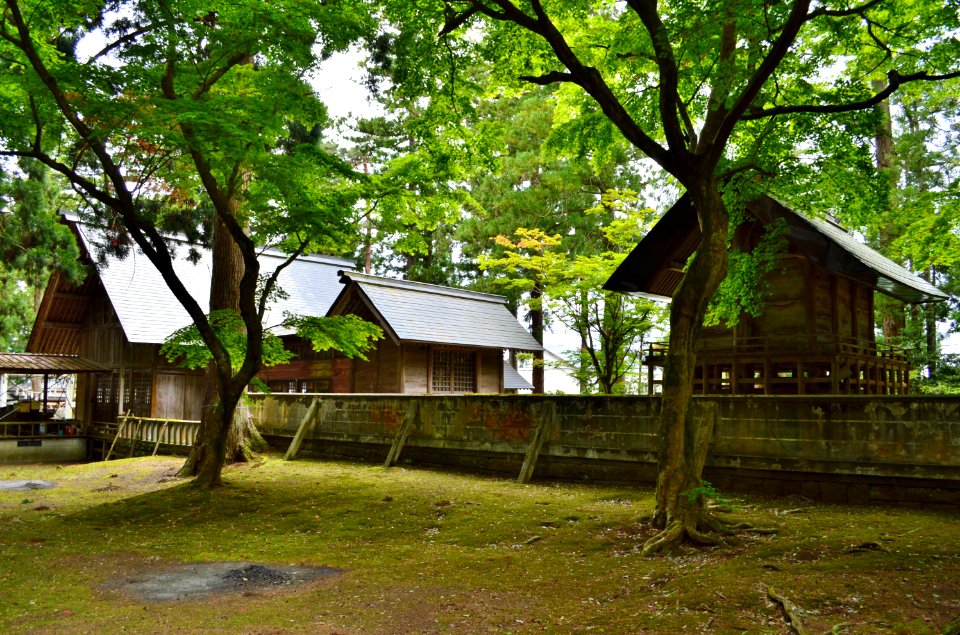 Sugawara-jinja (Joetsu), shaden