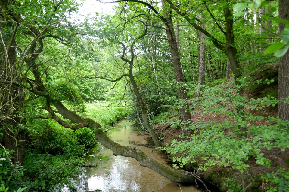 Stukenbrock - gLB Furlbachtal - 1