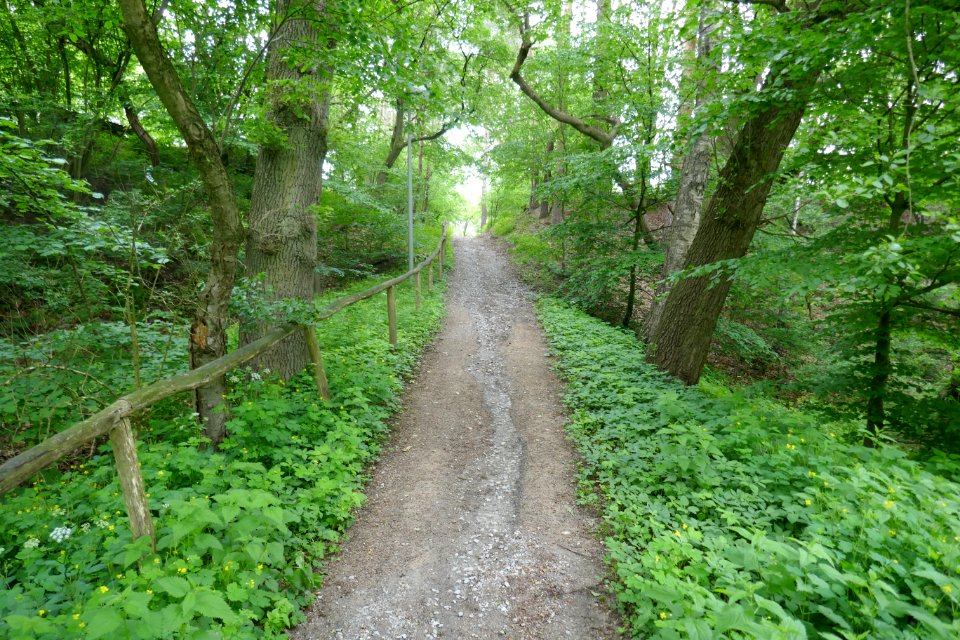 Stukenbrock - gLB Furlbachtal - 5