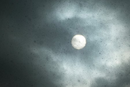 Study of the sun during snowfall 4