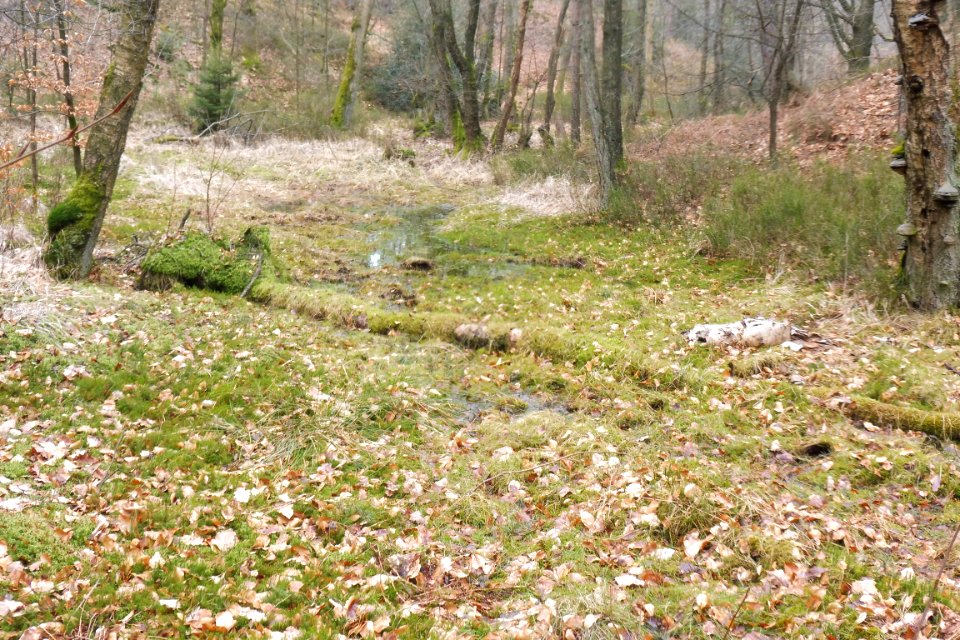 Stukenbrock - Furlbachtal - 10