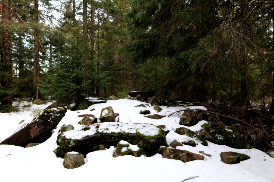 Summit of Hoher Ochsenkopf 2020-03-15 03