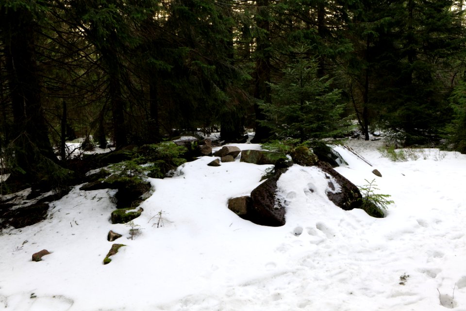 Summit of Hoher Ochsenkopf 2020-03-15 08