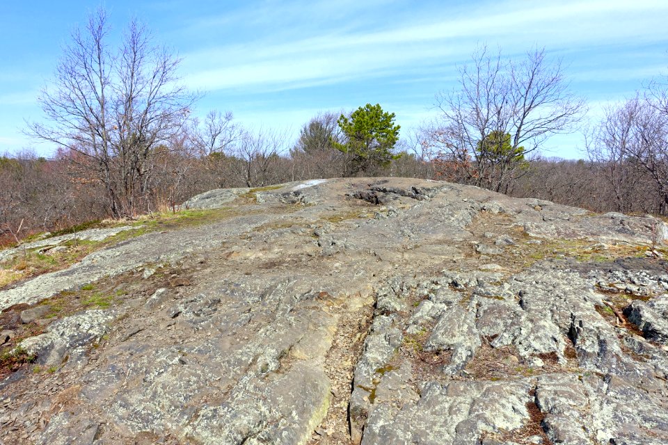 Summit - Whipple Hill - Lexington, MA - DSC00330