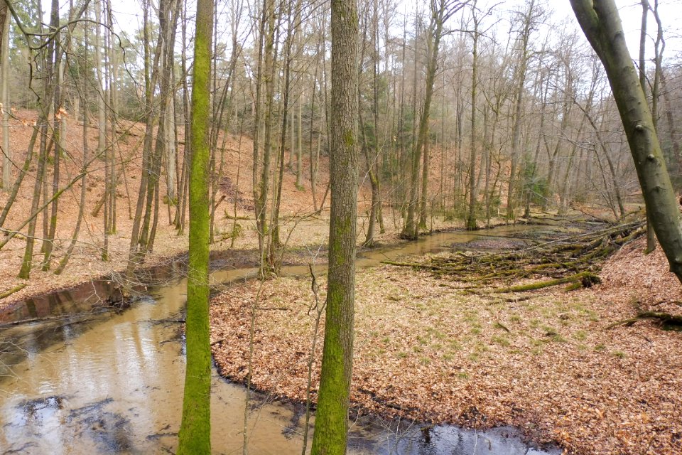 Stukenbrock - Furlbachtal - 7