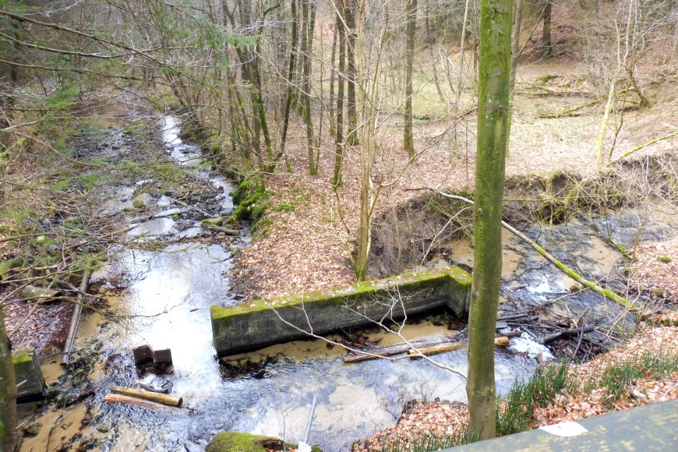 Stukenbrock - Furlbachtal - 8