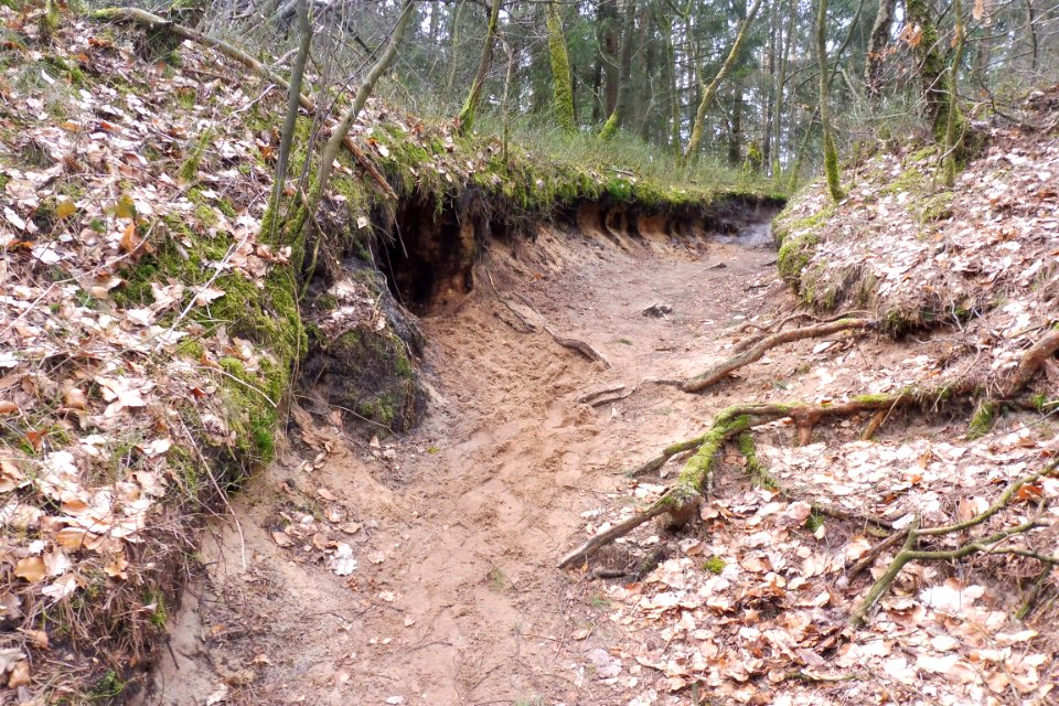 Stukenbrock - Furlbachtal - 4