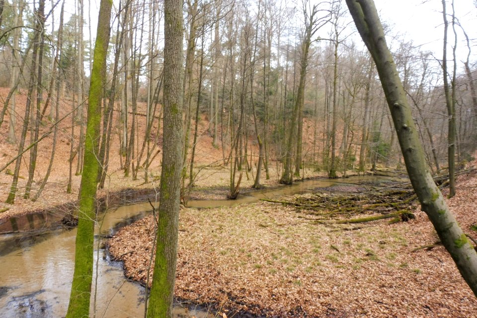 Stukenbrock - Furlbachtal - 6