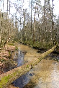 Stukenbrock - Furlbachtal - 1