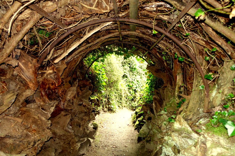 Stumpery bower - Biddulph Grange Garden - Staffordshire, England - DSC09340