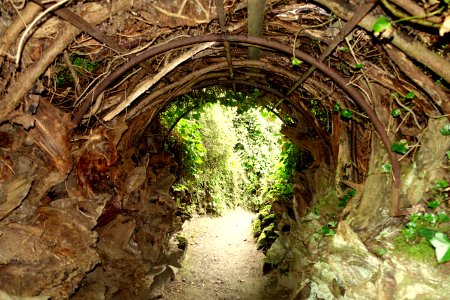 Stumpery bower - Biddulph Grange Garden - Staffordshire, England - DSC09340