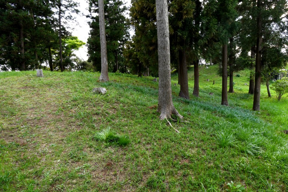 Suijin-yama Kofun, funkyu-2