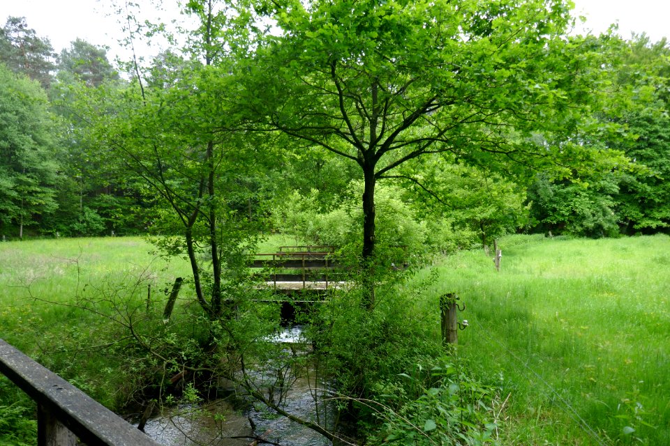 Stukenbrock - gLB Furlbachtal - 4