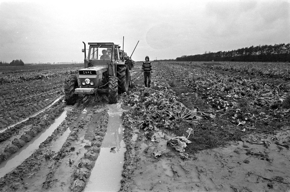 Suikerbieten- en aardappeloogst in Zeeland bemoeilijkt door zware regenval een , Bestanddeelnr 927-5407