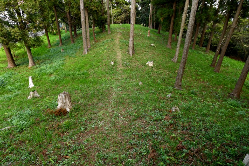 Suijin-yama Kofun, zenpoubu