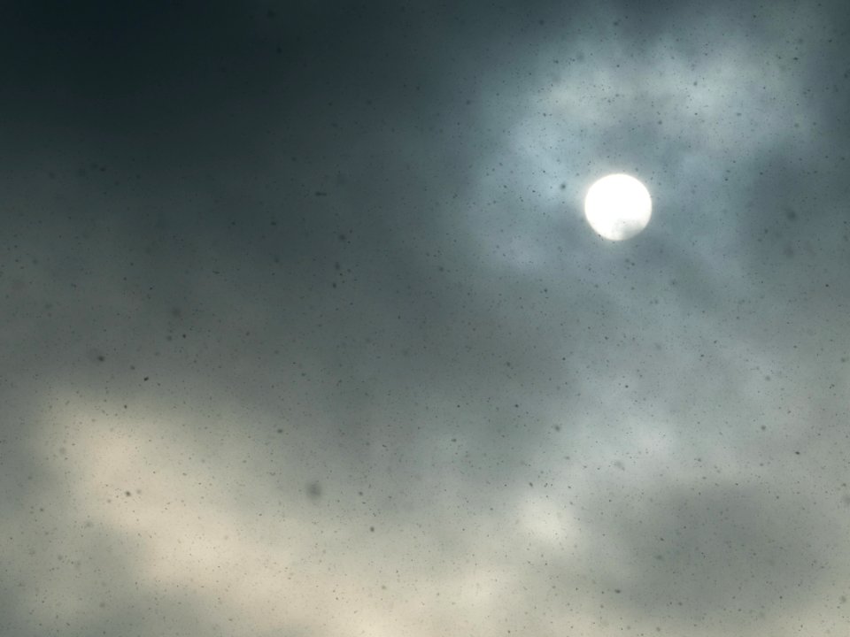 Study of the sun during snowfall 9