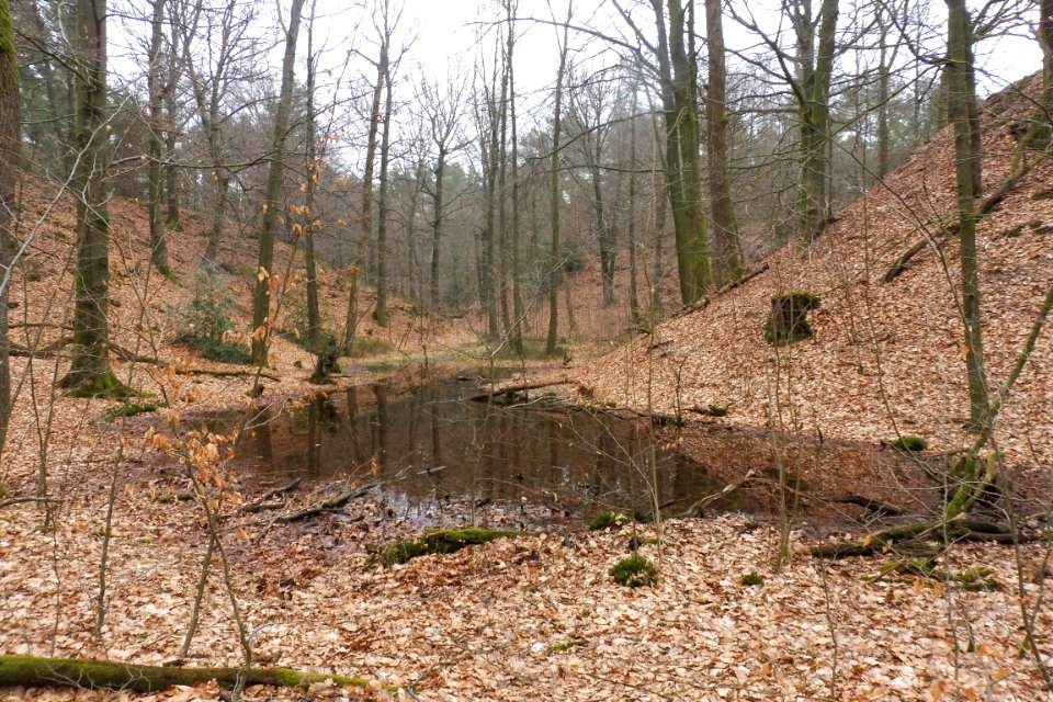 Stukenbrock - Furlbachtal - 14