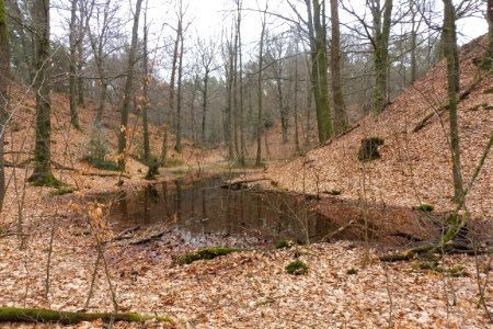 Stukenbrock - Furlbachtal - 14