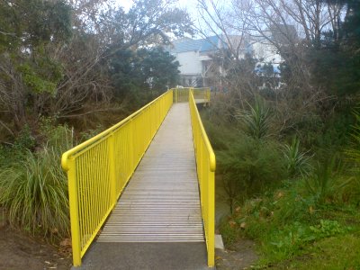 Substandard Parts Of Twin Streams Cycleway, North End III