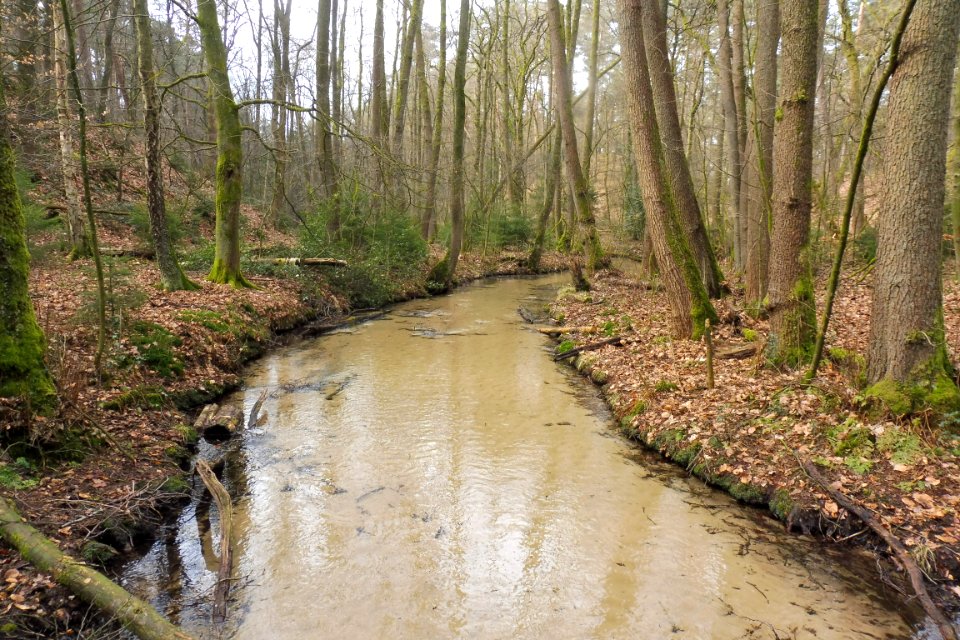 Stukenbrock - Furlbachtal - 2