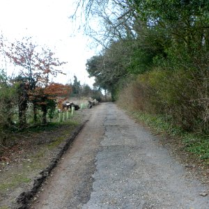 Stanmer Park, Stanmer, near Brighton (April 2013) (7)