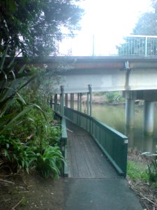 Substandard Parts Of Twin Streams Cycleway, North End II