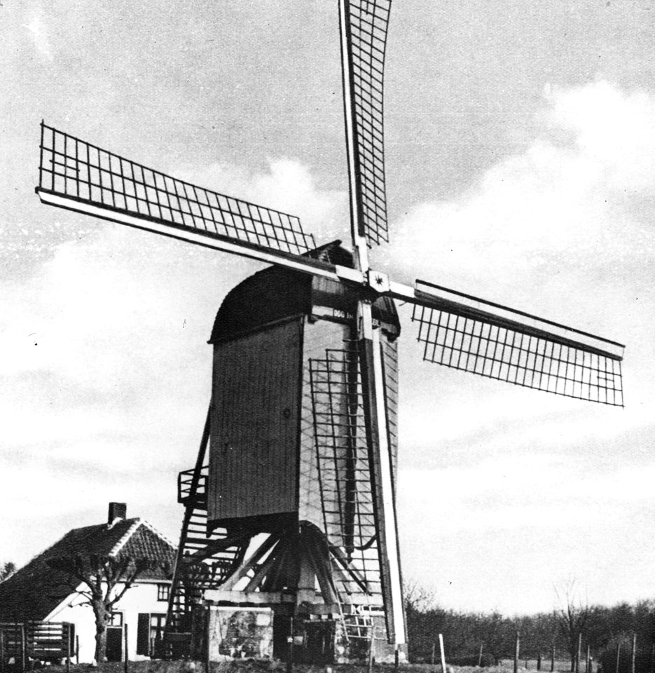 Standerdmolen Oog Int Zeil in Darthuizen bij Leersum (Utr), Bestanddeelnr 194-0819