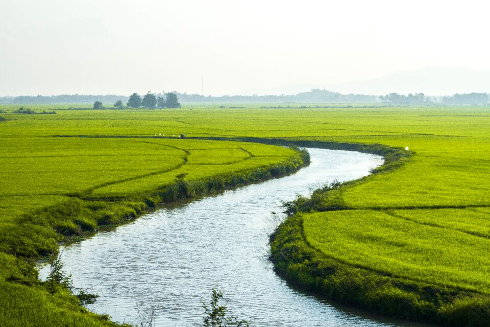Rice river vietnam