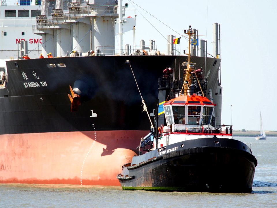 Stamina SW - IMO 9603958 & Lieven Gevaert - IMO 9120140, Berendrechtlock, Port of Antwerp, pic3