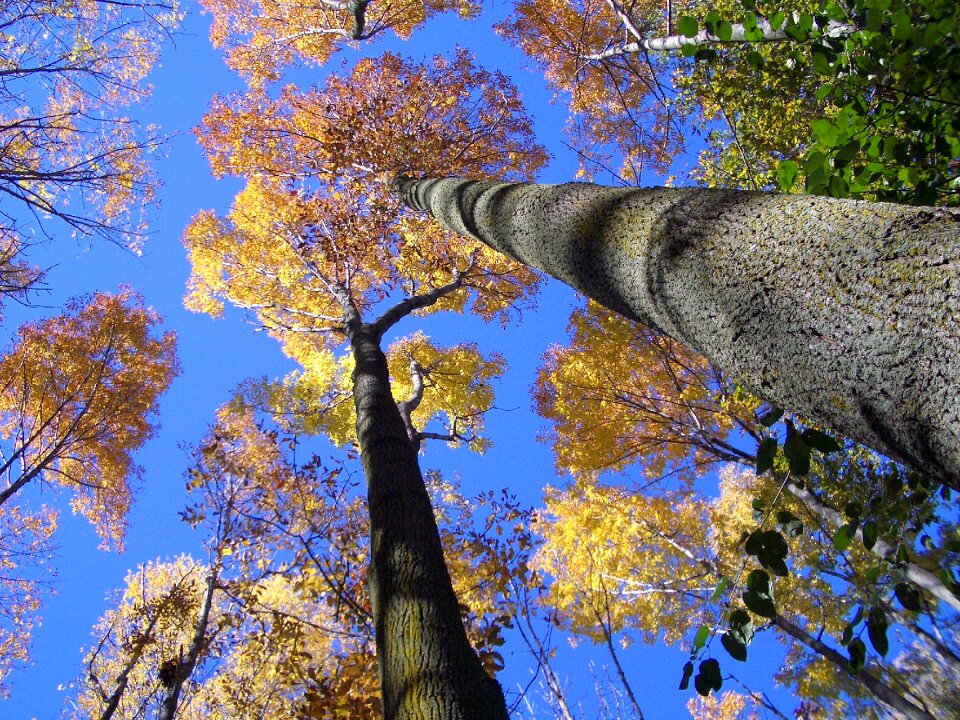 Sky nature abstract