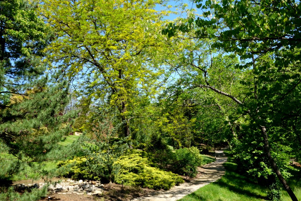 Stanley M. Rowe Arboretum - DSC03396
