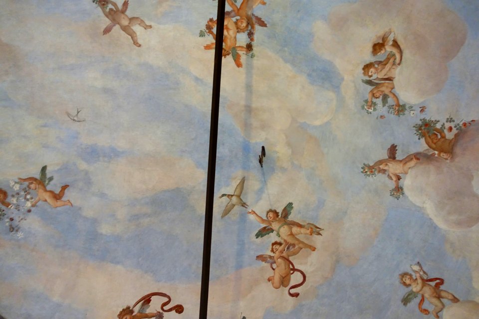 Stanza del Pergolato ceiling detail - Villa Grazioli - Grottaferrata, Italy - DSC03539