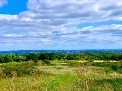 Stanmore Country Park, Wood Farm Viewpoint, London View 1
