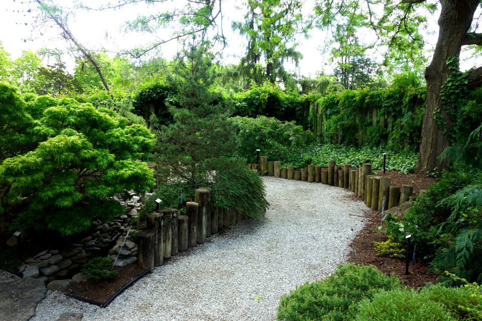 Stanley M. Rowe Arboretum - DSC03523