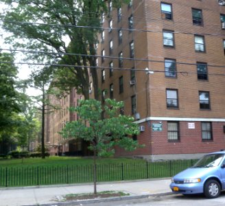 Stapleton NYCHA jeh