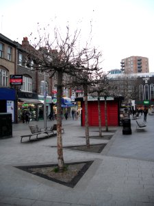 StAnnsPollardedTrees