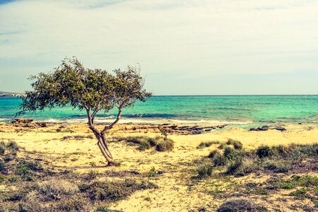 Beach nature scenery