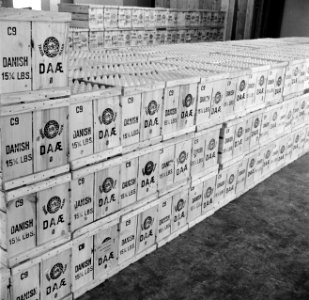 Stapels kratten gevuld met eieren, Bestanddeelnr 252-9084
