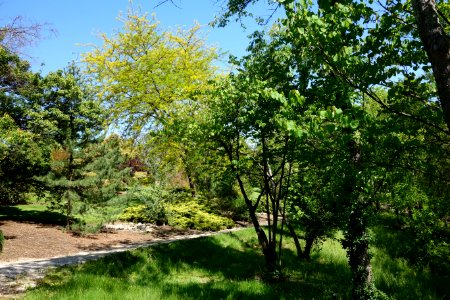 Stanley M. Rowe Arboretum - DSC03395