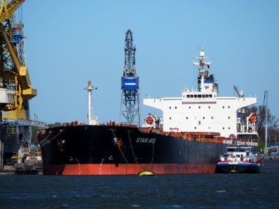Star Iris (ship, 2004) IMO 9284910, Mercuriushaven pic2