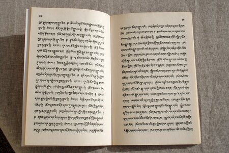 Language characters open book