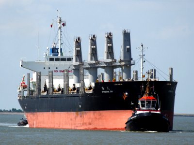 Stamina SW - IMO 9603958 & Lieven Gevaert - IMO 9120140, Berendrechtlock, Port of Antwerp, pic1