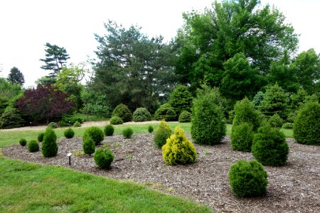 Stanley M. Rowe Arboretum - DSC03521