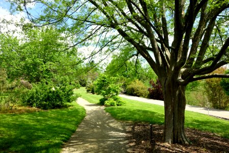 Stanley M. Rowe Arboretum - DSC03501