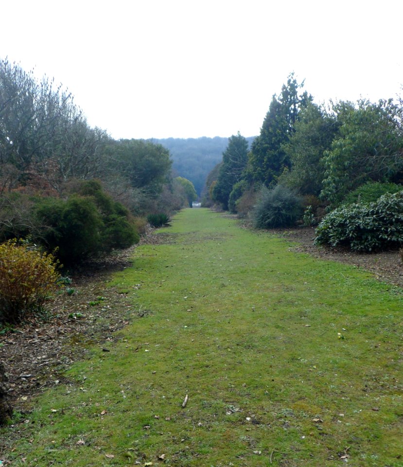 Stanmer Park, Stanmer, near Brighton (April 2013) (8)