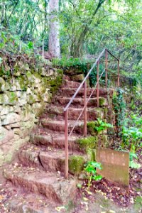 Stairs - Quinta das Lágrimas - Coimbra, Portugal - DSC08716