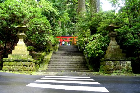 Stairs - Hakone-jinja - Hakone, Japan - DSC05716