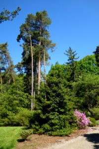 Stanley M. Rowe Arboretum - DSC03326